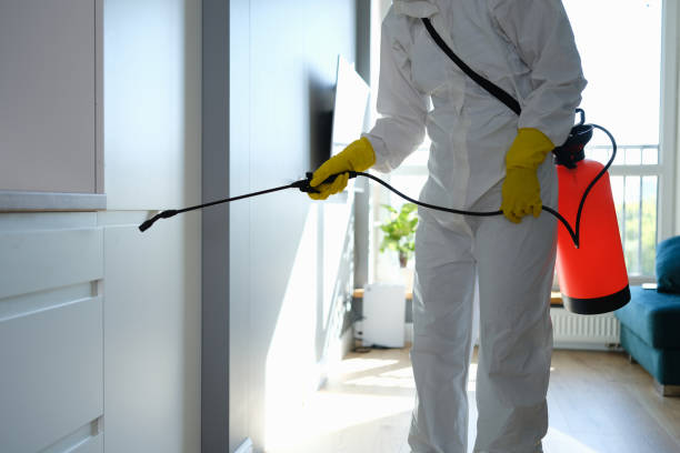 Best Commercial Mold Removal  in Matteson, IL